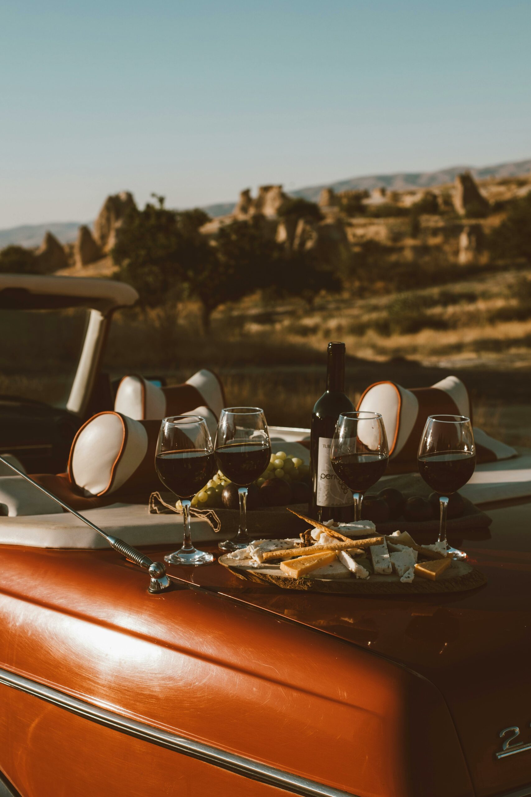 Wine tasting Provence